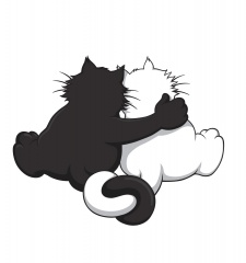 T-Shirt Black Cat, White Cat