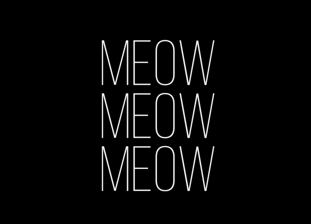 Design Meow Meow Meow