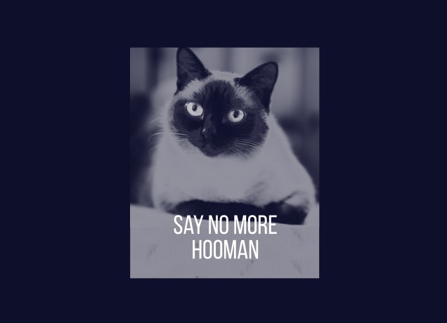 Design Say No More, Hooman
