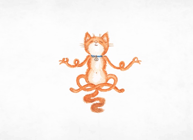 Design The Yoga Cat